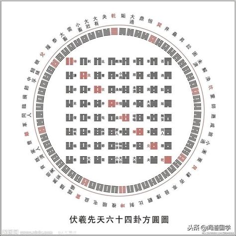 八八六十四卦圖|看懂先天八卦和六十四卦圖（又稱伏羲八卦及六十四。